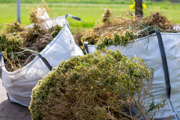 Best Shed Removal  in Quinnipiac University, CT